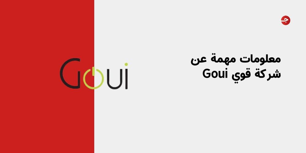 معلومات مهمة عن شركة قوي Goui