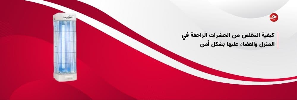 كيفية التخلص من الحشرات الزاحفة في المنزل والقضاء عليها بشكل أمن